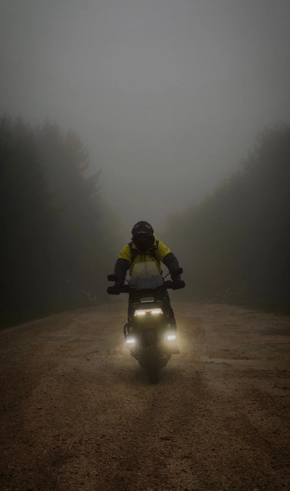 Ben Kauer auf dem Motorrad mit leuchtenden Scheinwerfern auf einer nebligen Schotterstraße im Wald
